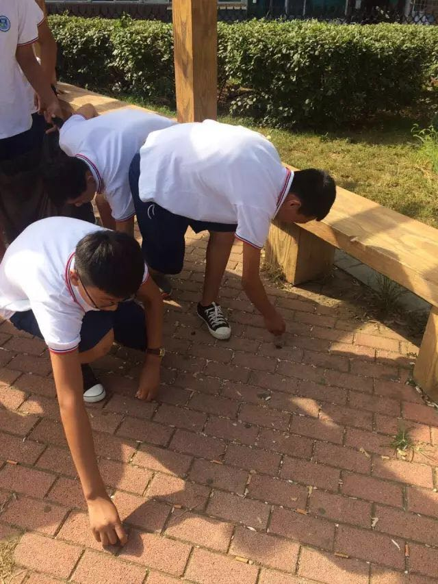 1509590252219634.png 1509590252219634.png