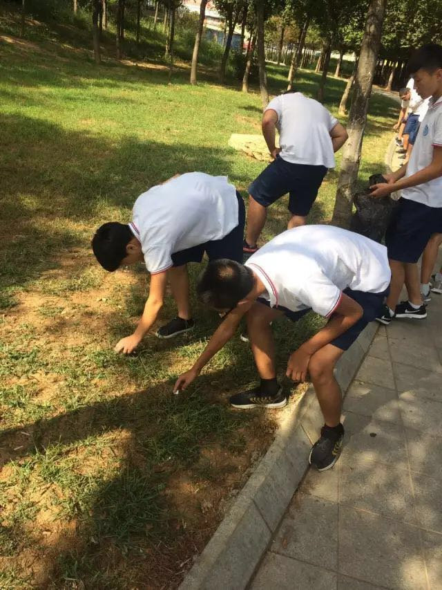 1509590307395806.png 1509590307395806.png