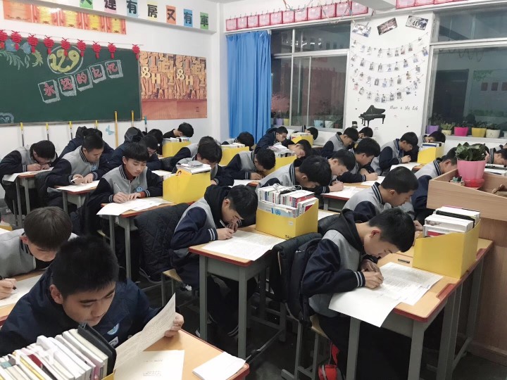 5c1a02fd19fa11.62618402.jpg 333358526275009032.jpg