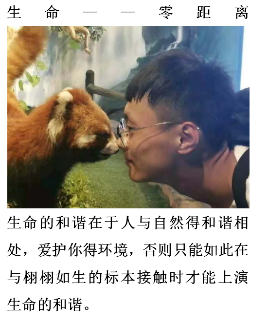 5de32d6a57ff29.41219981.png 微信圖片_201912011040512.png