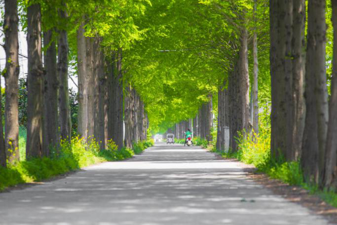 圖片1.png 圖片1.png