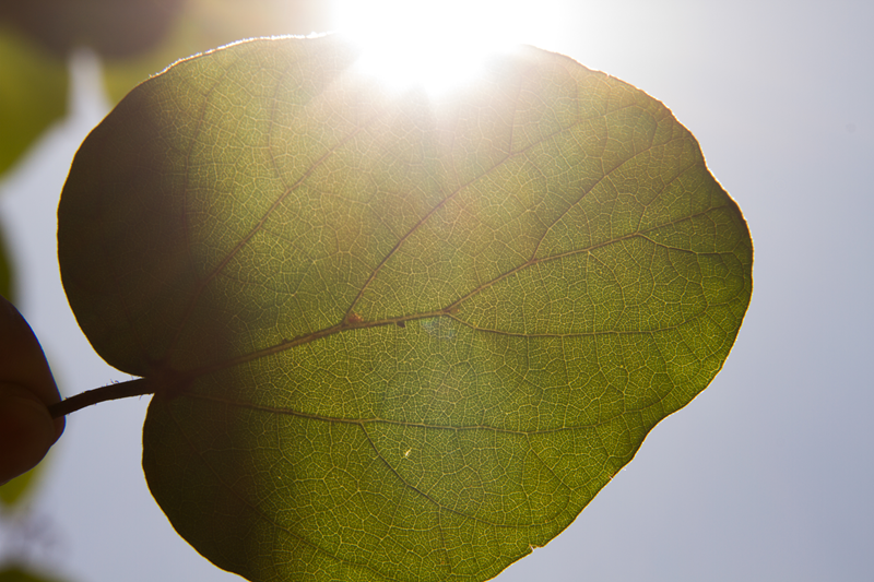 圖片3_副本_副本.png 圖片3_副本_副本.png